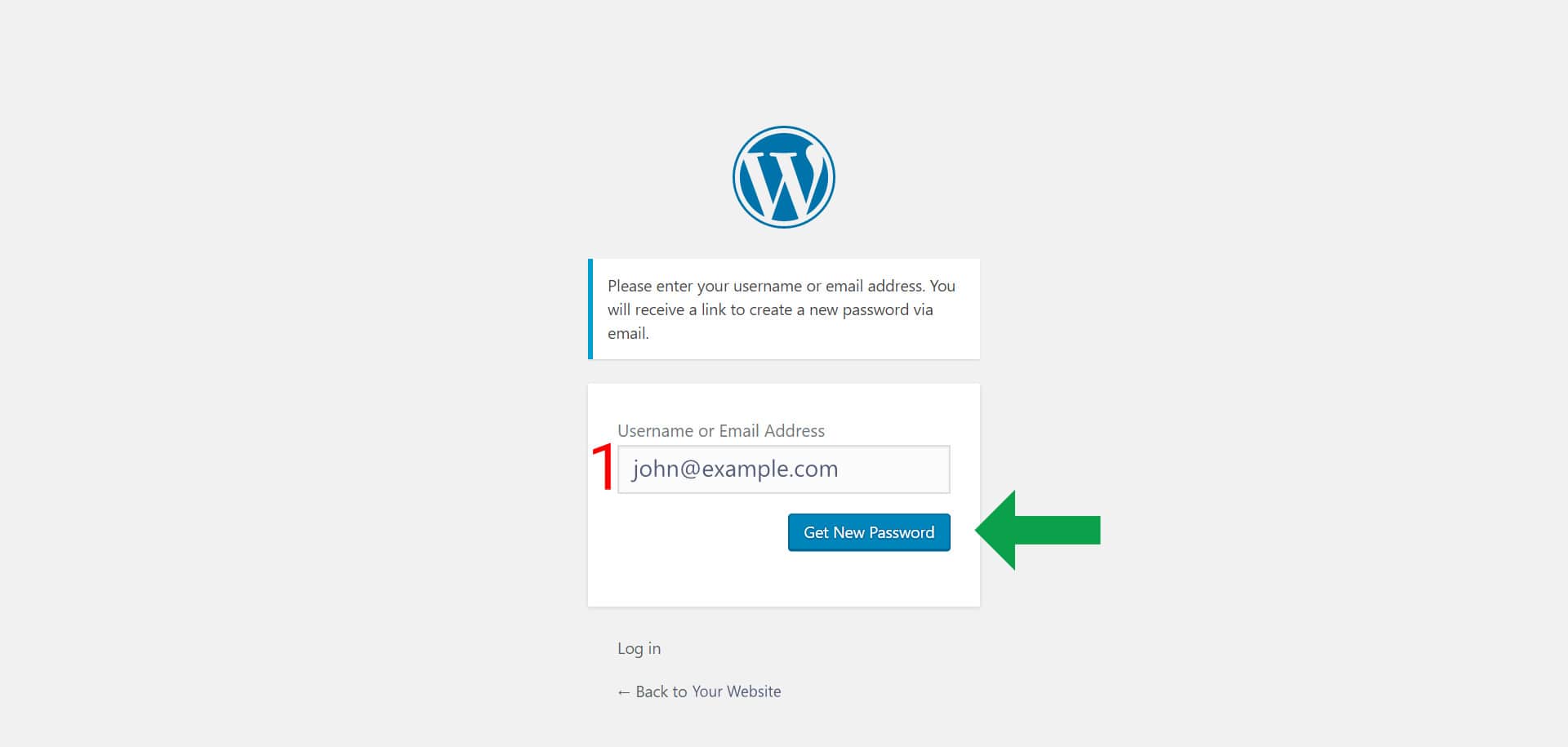 Shows the user what to do on the WordPress password recovery page